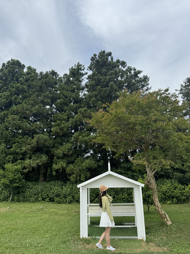 귀여운 젖소들을 아주 가까이에서 볼 수 있는 이색 목장 ✨