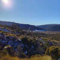the best of Tassie
