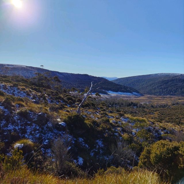 the best of Tassie