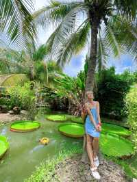 คาเฟ่ในร่องสวนมะพร้าว