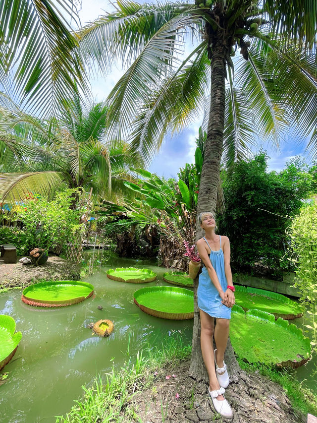 คาเฟ่ในร่องสวนมะพร้าว
