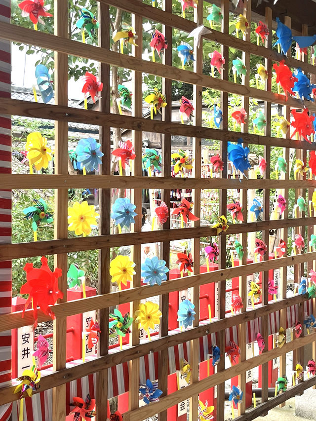 愛知で1番の映える神社