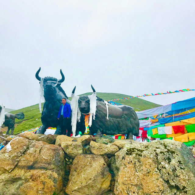Breathtaking views and a sense of adventure 🇨🇳