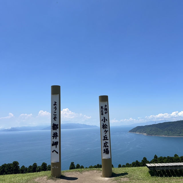 【宮崎】野生の馬に会える！都井岬