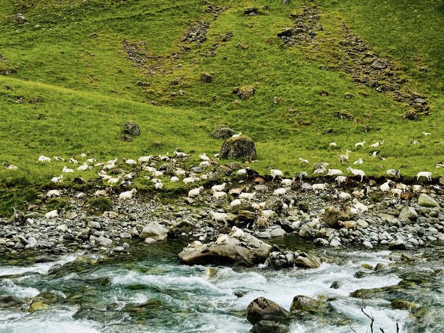 隱身在松恩峽灣(Sognefjorden)深處的挪威迷你小村落Undredal