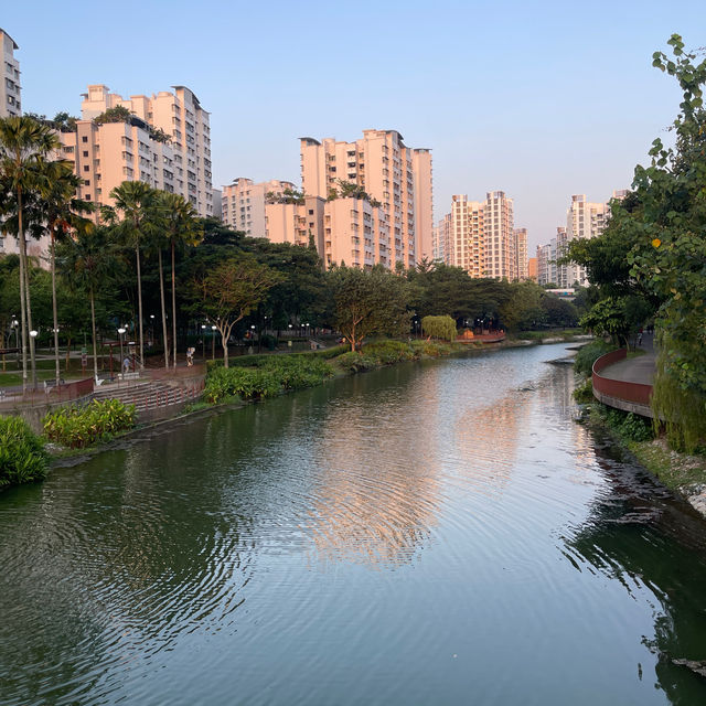 Connecting with Nature: Punggol Park Connector Delight