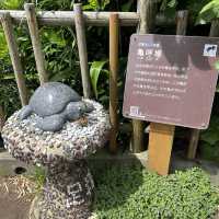 【高知県】四国最南端の絶景！足摺岬をご紹介