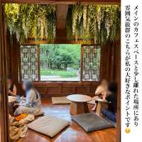 韓国/ソウル【東大入口】ハウスコーヒーアンドデザート