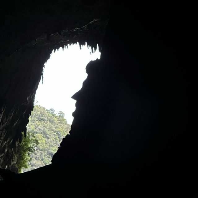 Into the Heart of Borneo: Conquering the RM100 Challenge