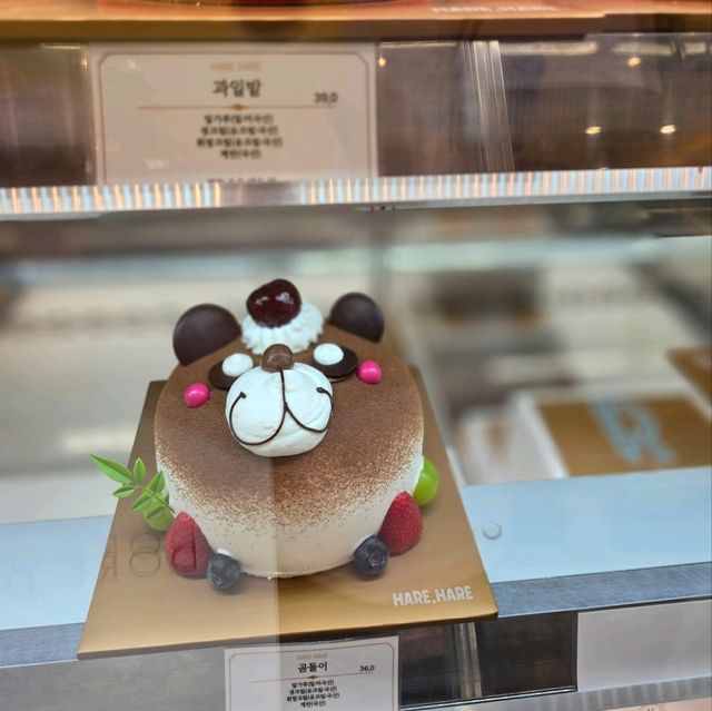 국내여행 대전 빵집 하레하레 