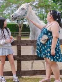 Thr Trot cafe เขาใหญ่ 
