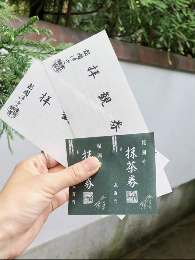 涼を感じるスポット✨美しい竹林の報国寺🥺🤍【鎌倉】