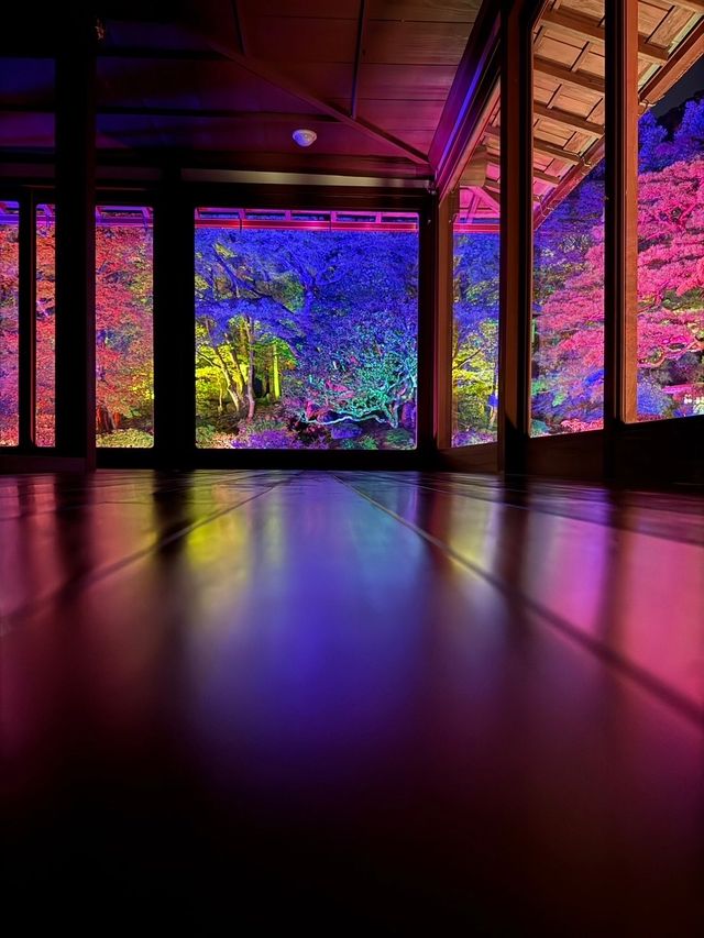 〜滋賀県〜美しすぎる旧竹林院ライトアップ✨