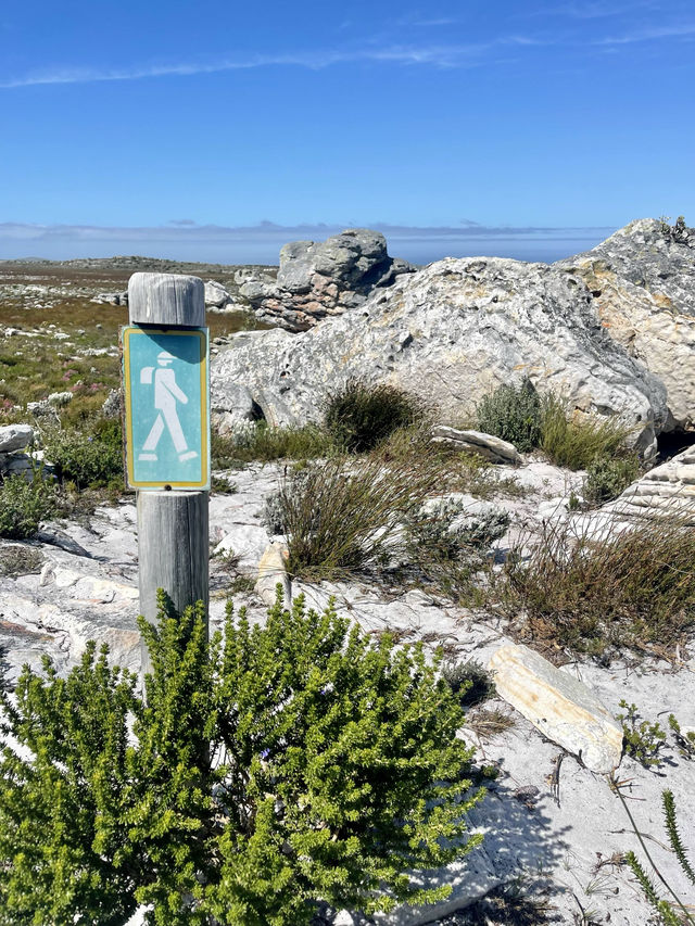 🥾 Hike the Trails of Cape of Good Hope National Park 🌍