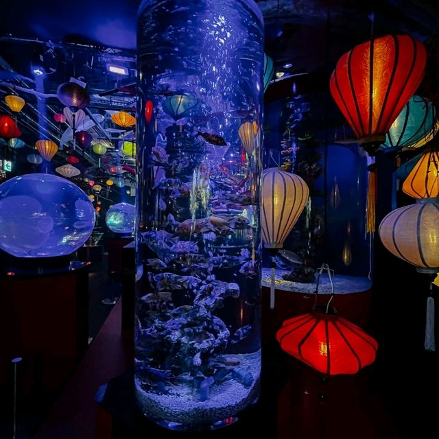 ไปเที่ยว UWS AQUARIUM GA☆KYO ที่ญี่ปุ่นกัน