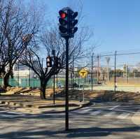 【祐天寺】世田谷公園 - SLが見れる交通公園 -
