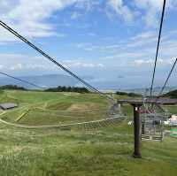 箱館山一日遊