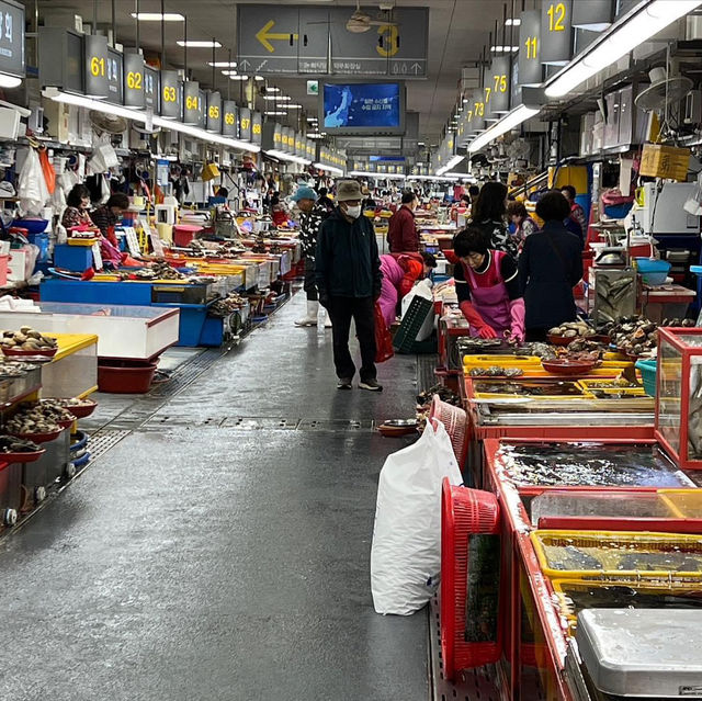 Fresh Catch Heaven:  Jagalchi Seafood Market