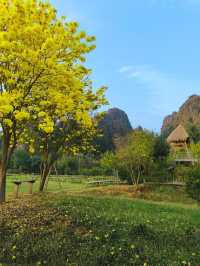 📍บ้านมุง เนินมะปราง จ.พิษณุโลก