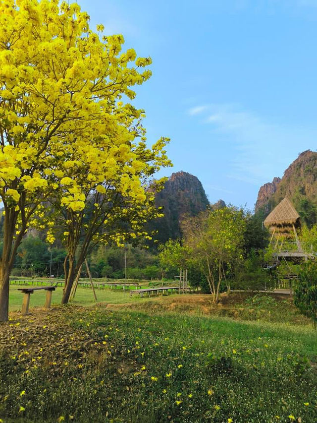 📍บ้านมุง เนินมะปราง จ.พิษณุโลก