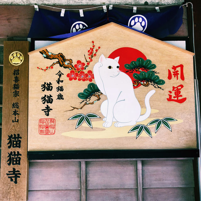 【🇯🇵京都】にゃんにゃんと招かれてやって来た🐈