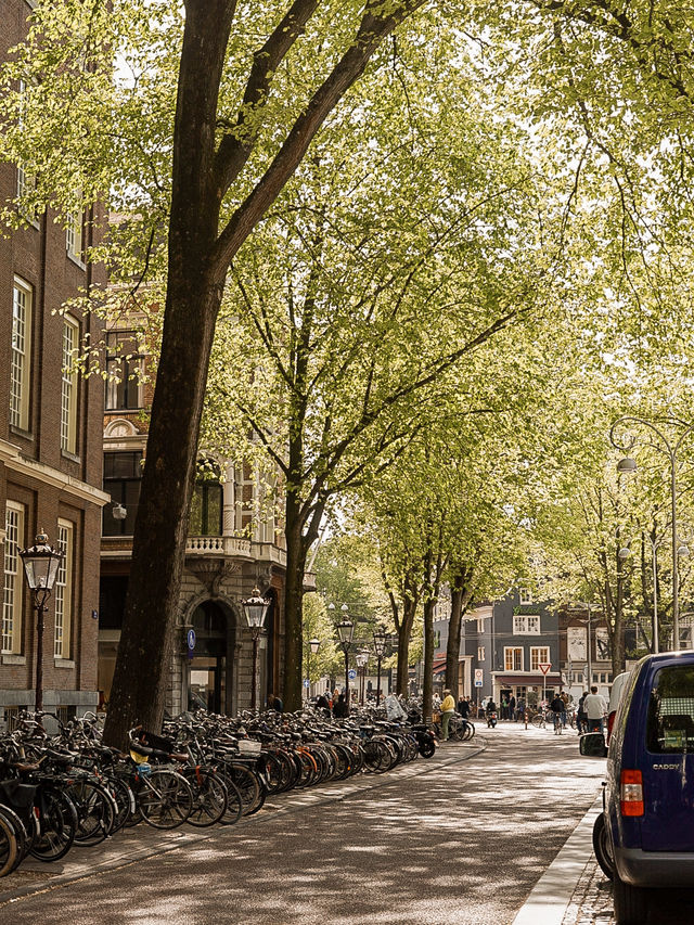 📍Amsterdam