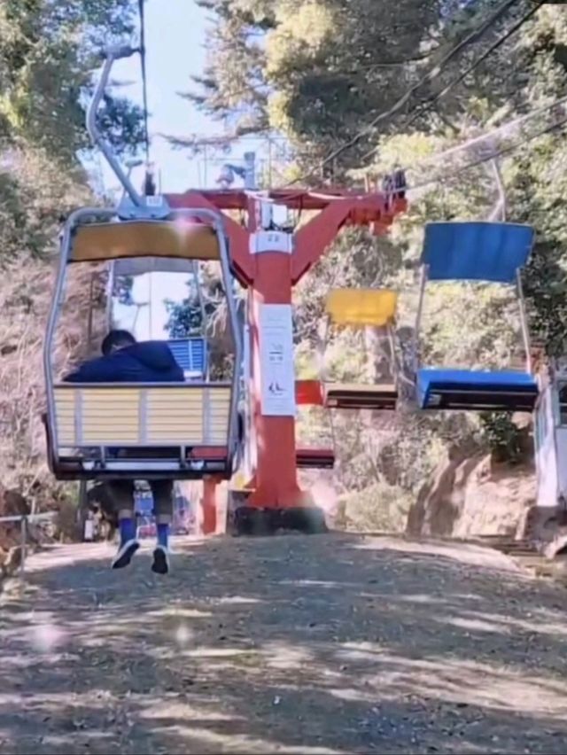 ✨️日本東京高尾山🎋✨️