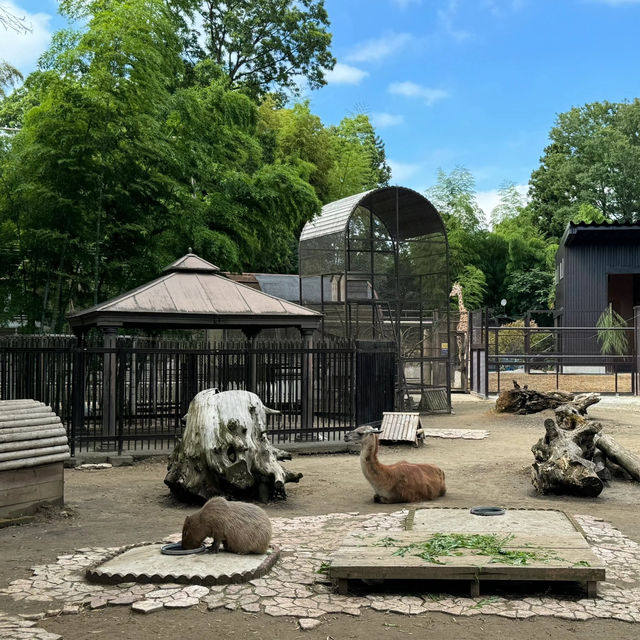 和歌山城公園動物園：親近自然的樂趣🦁🏰🌳