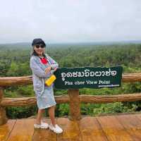 ผาช่อ เชียงใหม่ 