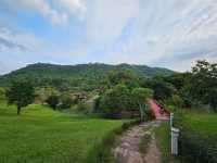 🌳The Banyan Leaf Resort