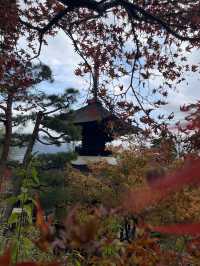 ใบไม้เปลี่ยนสีที่ Jojakkoji Temple Kyoto