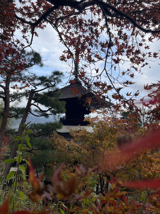 ใบไม้เปลี่ยนสีที่ Jojakkoji Temple Kyoto