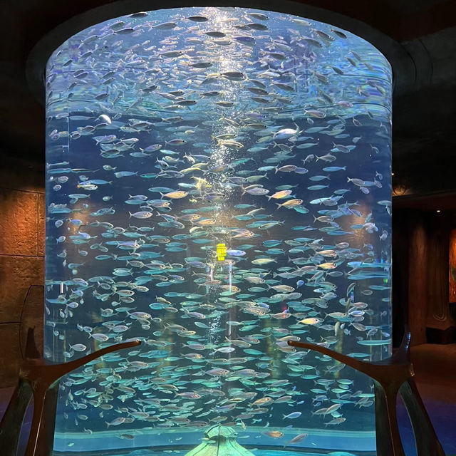 DMM Kariyushi水族館～迷人海洋世界
