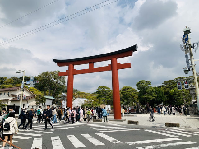 鎌倉観光　鶴岡八幡宮