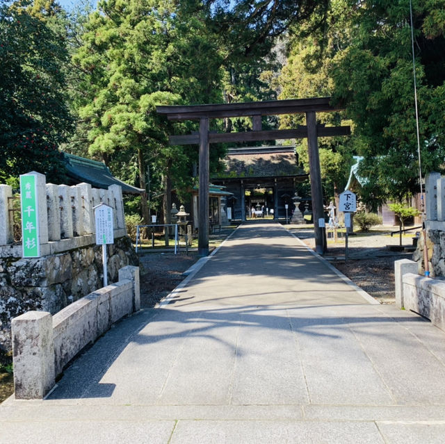若狭姫神社と若狭彦神社