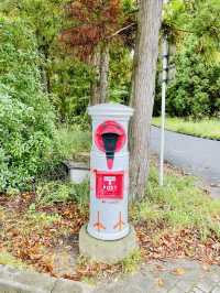 【新潟県】トキ会える「トキの森公園」