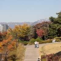가을에 가볼만한곳 서울 백범광장