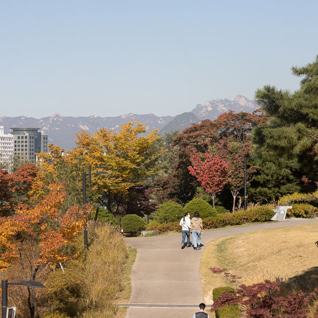 가을에 가볼만한곳 서울 백범광장