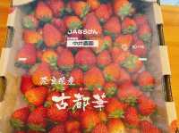 Strawberry Kobo คาเฟ่สตอเบอร์รี่ จ.นารา
