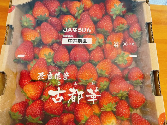 Strawberry Kobo คาเฟ่สตอเบอร์รี่ จ.นารา