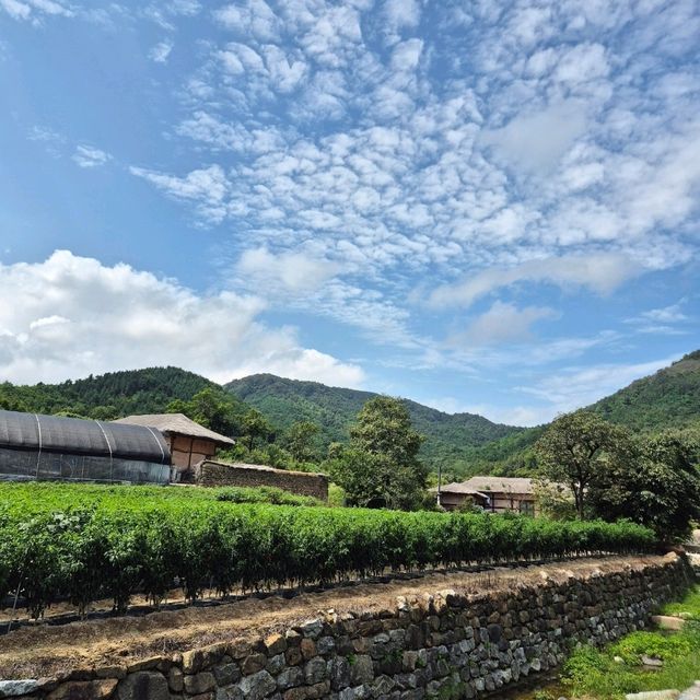 😃북방 한옥의 기왓집 벽돌을 느끼며 걸을 수 있는 왕곡마을😃