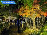 北海道賞楓-如詩如畫的定山溪二見吊橋