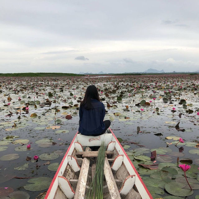 ลงเรือน้อยลอยวน 🪷 