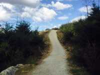 📍紐西蘭。皇后鎮｜絕佳觀景親子步道Queenstown Hill walking track 
