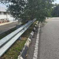 都市和自然 超喜欢