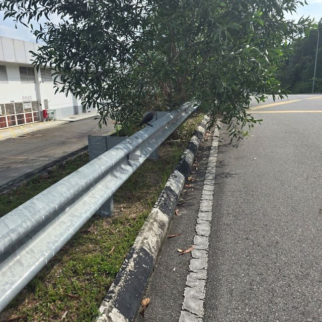 都市和自然 超喜欢
