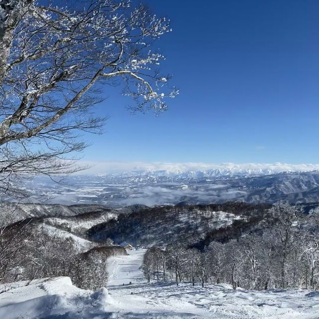 🏂 滑雪天堂：富良野滑雪場🎿