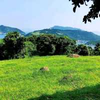 大坑墩清水灣郊野公園