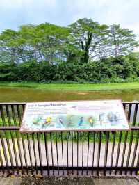 Relaxing Walk at Springleaf Nature Park