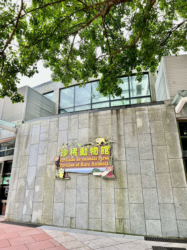 親親可愛熊貓貓@澳門大熊貓館